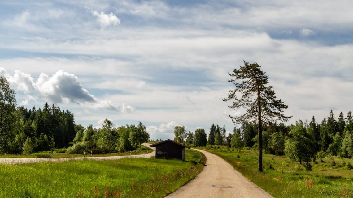 Straße, Hütte, Baum